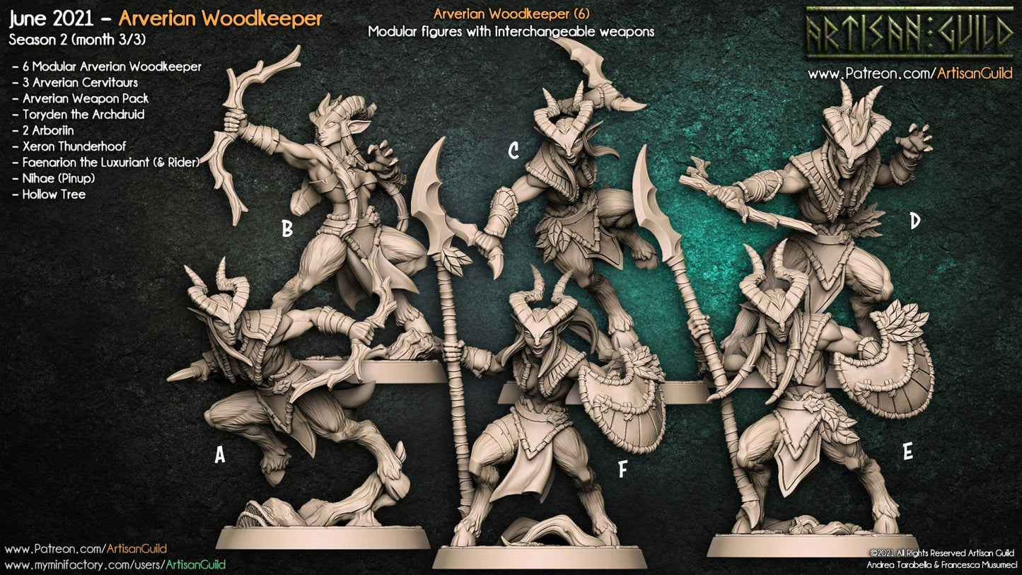 Arverian - 3D Printed Miniature - Fantasy Miniature -Tabletop Miniature - Tabletop Miniature - D&D - Artisan Guild