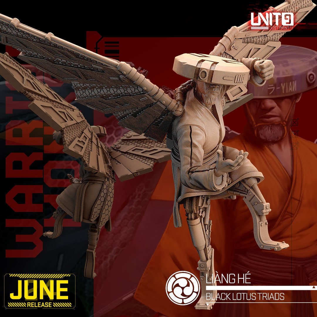 Liang He - Tabletop miniature - Fantasy - 32mm - D&D Resin Miniature