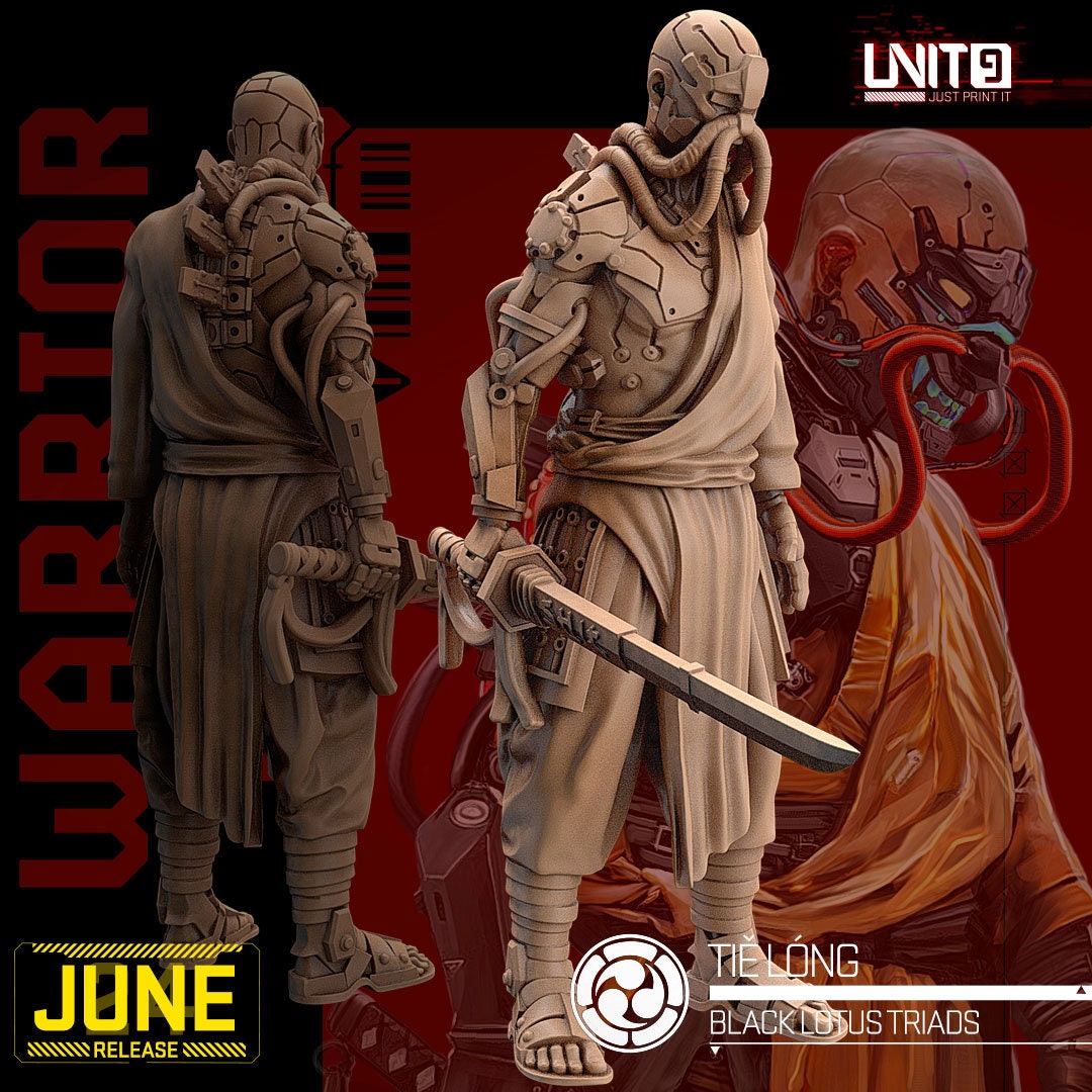 Tie Long - Tabletop miniature - Fantasy - 32mm - D&D Resin Miniature