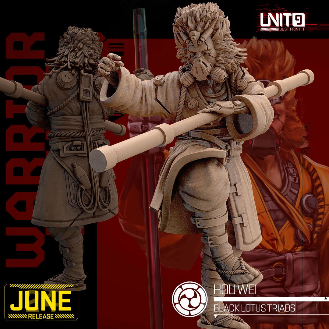 Houwei - Tabletop miniature - Fantasy - 32mm - D&D Resin Miniature