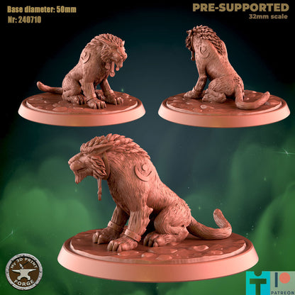 My 3d Print Forge July 2024 Release   -  Resin Miniature - Tabletop  miniature - Fantasy Miniature - 32mm - D&D -  Sci-fi Miniature