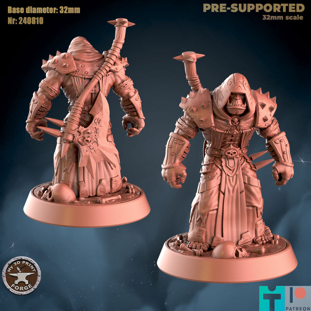 My 3d Print Forge August 2024 Release   -  Resin Miniature - Tabletop  miniature - Fantasy Miniature - 32mm - D&D -  Sci-fi Miniature