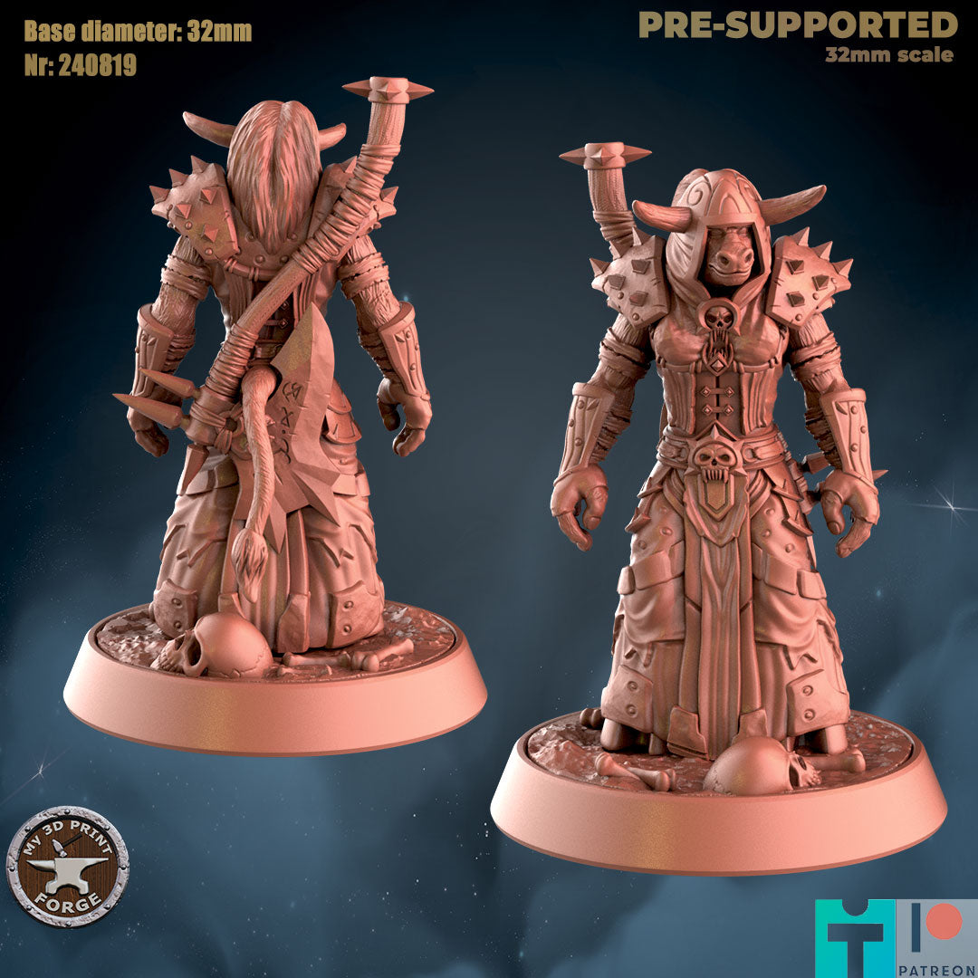 My 3d Print Forge August 2024 Release   -  Resin Miniature - Tabletop  miniature - Fantasy Miniature - 32mm - D&D -  Sci-fi Miniature