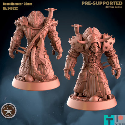 My 3d Print Forge August 2024 Release   -  Resin Miniature - Tabletop  miniature - Fantasy Miniature - 32mm - D&D -  Sci-fi Miniature