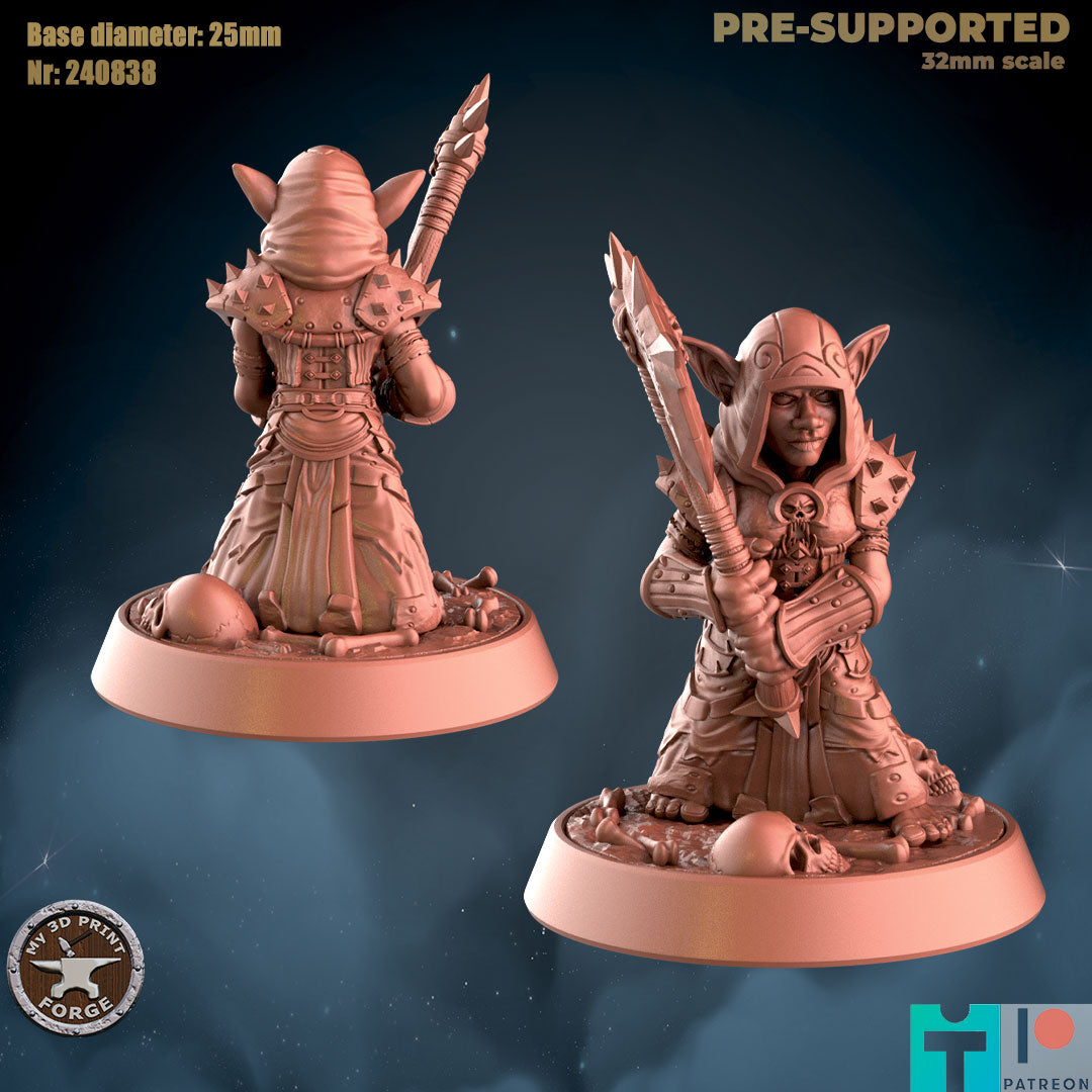 My 3d Print Forge August 2024 Release   -  Resin Miniature - Tabletop  miniature - Fantasy Miniature - 32mm - D&D -  Sci-fi Miniature