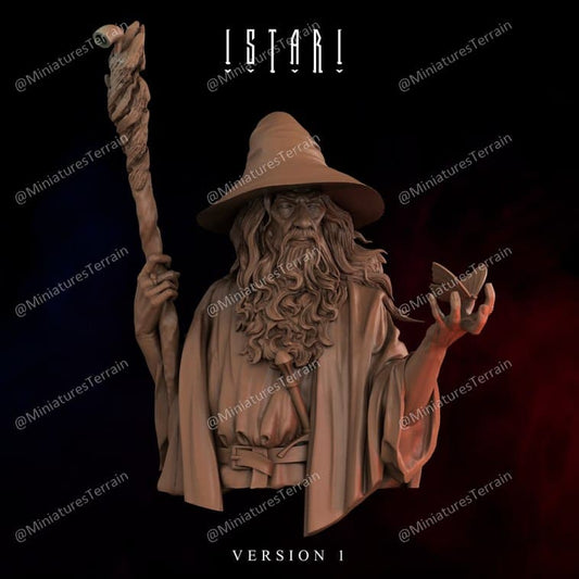 LOTR Gandalf 100mm