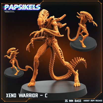 Papsikel august 2024 Scifi  -  Resin Miniature - Tabletop  miniature - Fantasy Miniature - 32mm - D&D -  Sci-fi Miniature - Papsikel