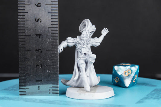 The Jester - 3D Printed Miniature - Fantasy Miniature - Tabletop Miniature - D&D - RN Estudio