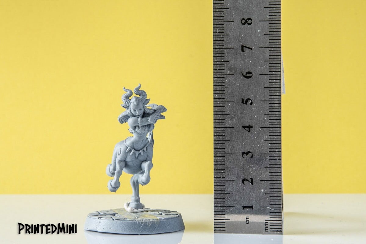 Centaur of daggers - 3D Printed Miniature - Fantasy Miniature - Tabletop Miniature - D&D - RN Estudio