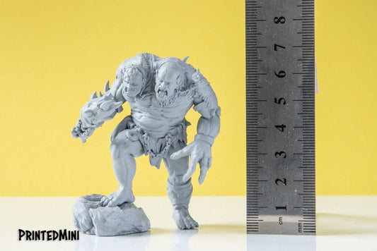 Ettin - 3D Printed Miniature - Fantasy Miniature - Tabletop Miniature - D&D