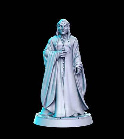 Elrond - 3D Printed Miniature - Fantasy Miniature - Tabletop Miniature - D&D - RN Estudio