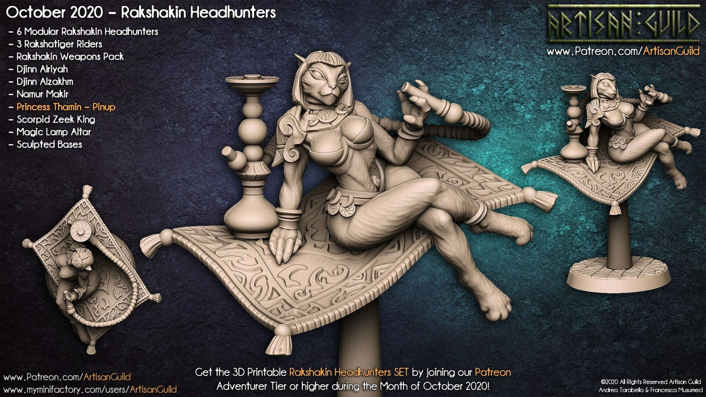 Princess Tharmin - 3D Printed Miniature - Fantasy Miniature - D&D - Artisan Guild DnD