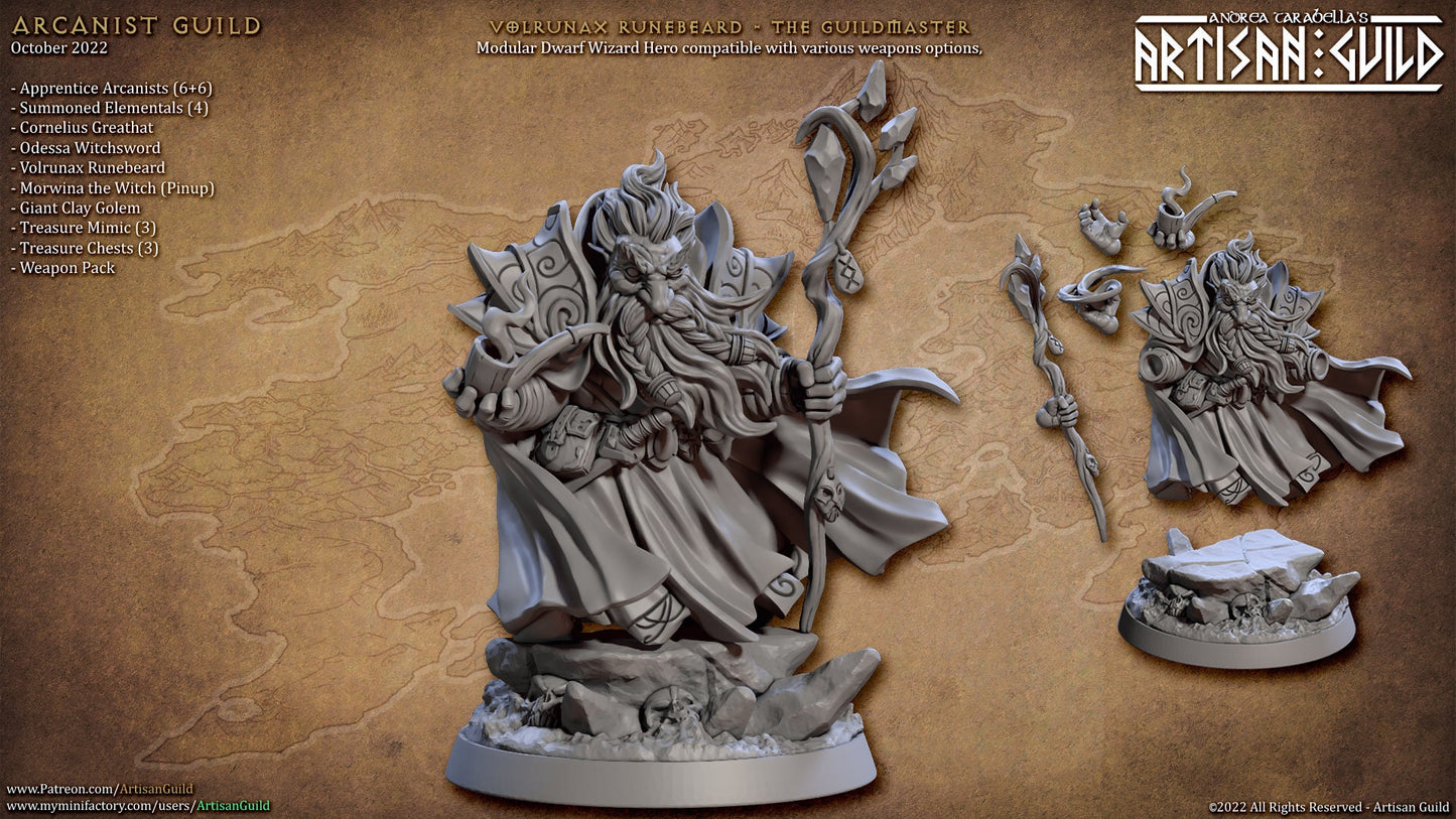 Volrunax Runebeard - 3D Printed Miniature - Fantasy Miniature - Tabletop Miniature - D&D - Artisan Guild