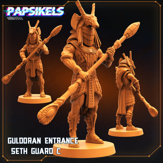 Guldoran Guard C - Resin Miniature - Tabletop miniature - Fantasy Miniature - 32mm - D&D - Sci-fi Miniature- Papsikel