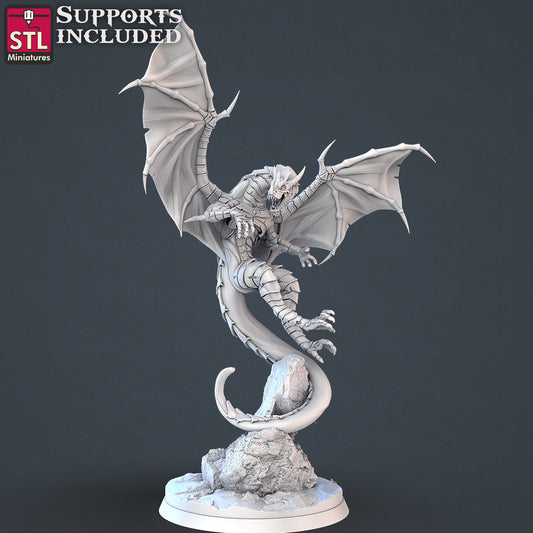 Dragons - Tabletop  miniature - Fantasy - 32mm - D&D  Resin Miniature