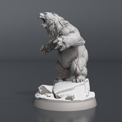 Bear Set - Tabletop  miniature - Fantasy - 32mm - D&D  Resin Miniature