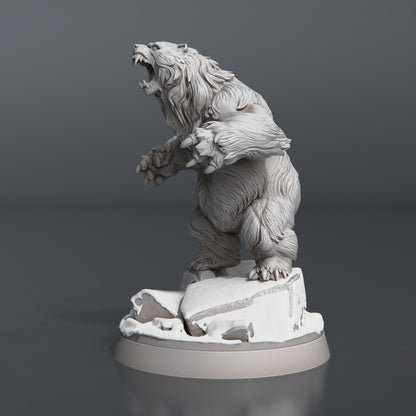 Bear Set - Tabletop  miniature - Fantasy - 32mm - D&D  Resin Miniature DnD