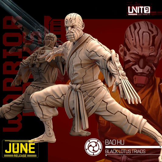 BaoHu - Tabletop  miniature - Fantasy - 32mm - D&D  Resin Miniature