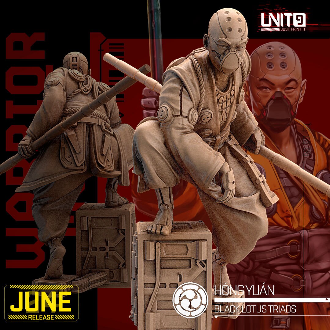 Hong Yuan - Tabletop  miniature - Fantasy - 32mm - D&D  Resin Miniature