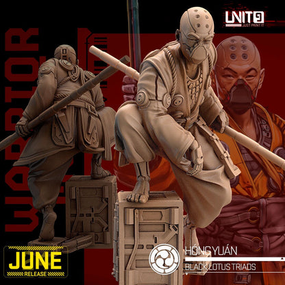 Hong Yuan - Tabletop  miniature - Fantasy - 32mm - D&D  Resin Miniature