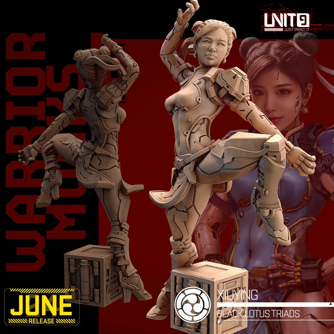 Xiu Ying - Tabletop  miniature - Fantasy - 32mm - D&D  Resin Miniature