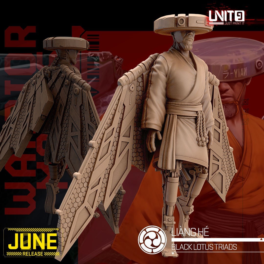 Liang He - Tabletop  miniature - Fantasy - 32mm - D&D  Resin Miniature