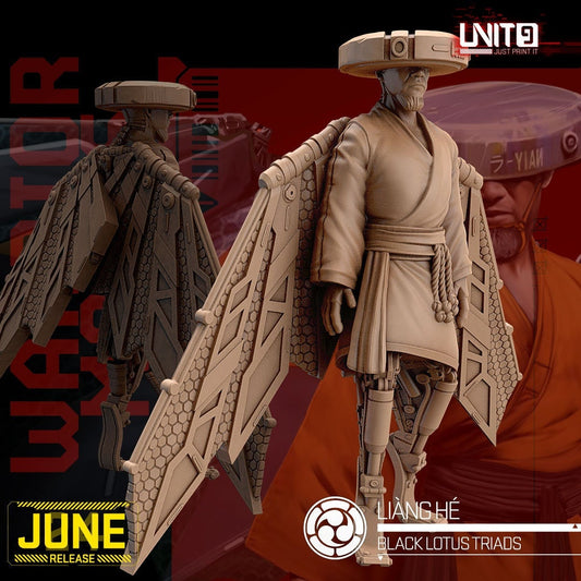 Liang He - Tabletop  miniature - Fantasy - 32mm - D&D  Resin Miniature