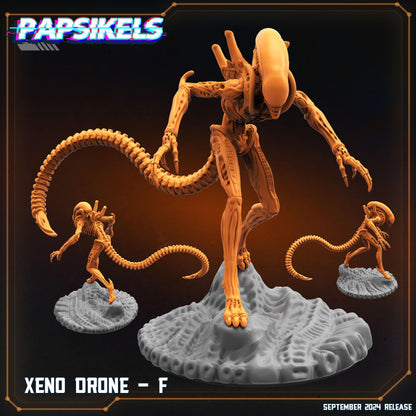 Xenos - Resin Miniature - Tabletop miniature - Fantasy Miniature - 32mm - D&D - Sci-fi Miniature - Papsikel