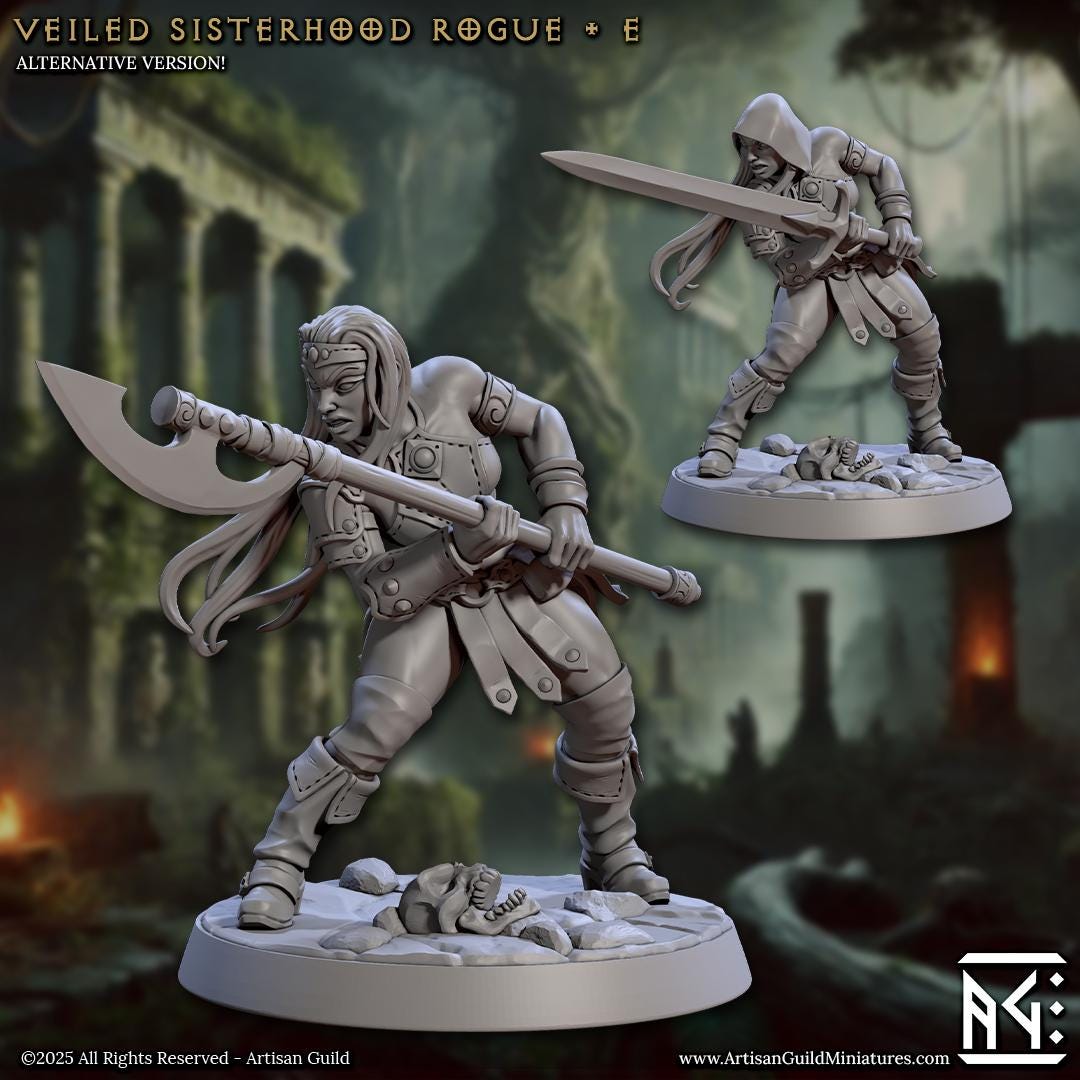 Veiled Sisters - 3D Printed Miniature - Fantasy Miniature -Tabletop Miniature - Tabletop Miniature - D&D - Artisan Guild DnD