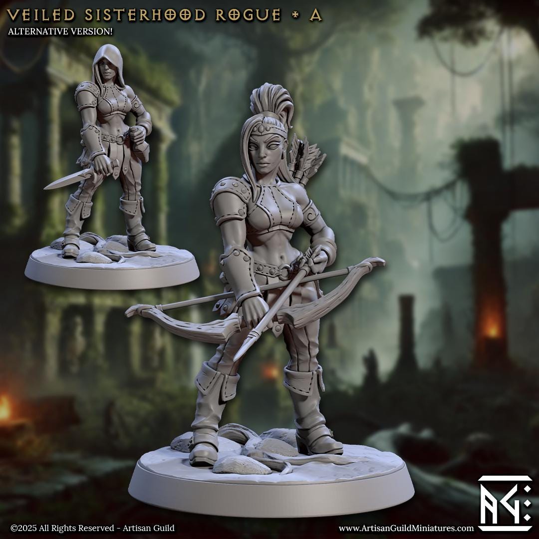 Veiled Sisters - 3D Printed Miniature - Fantasy Miniature -Tabletop Miniature - Tabletop Miniature - D&D - Artisan Guild DnD