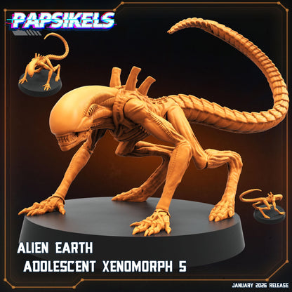 Adolescent Xenoform - 32mm Sci-fi Miniature - Papsikel